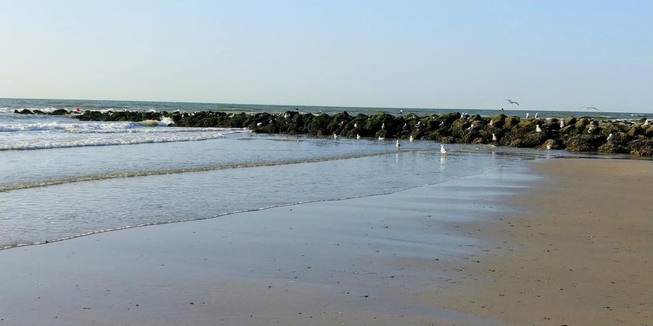 Sunny Bank Westende Zeezicht Middelkerke Zewnętrze zdjęcie